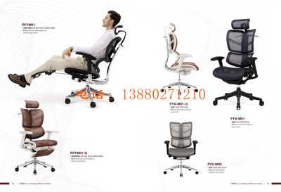 人体工学椅电脑椅-家用 转椅老板椅子-护腰办公椅电竞椅